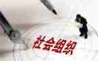社会活动作文300字精选6篇