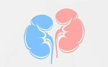 肾内科护士工作心得5篇