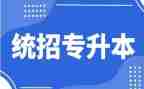 关于专升本的申请书6篇