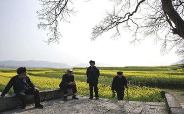 院生活部工作总结推荐6篇