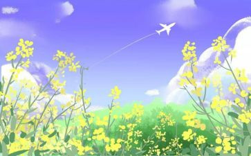 作文《生命的感悟》优秀6篇