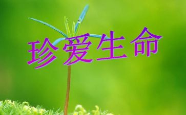 谈生命作文600字7篇