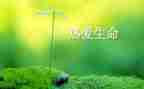 对生命感悟的作文600推荐7篇