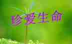 珍爱生命远离危险主题班会教案8篇