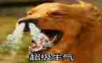 她生气了作文500字优秀作文8篇