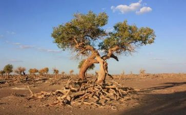 生与死演讲稿800字模板8篇