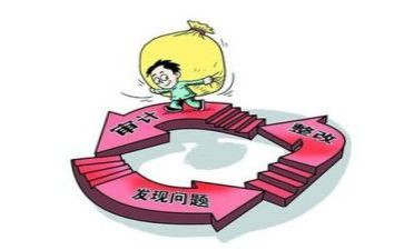 局审计工作述职报告6篇