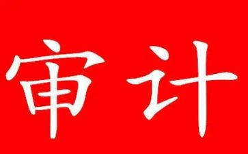 审计日工作总结6篇
