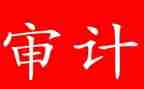 2024审计年终总结最新5篇