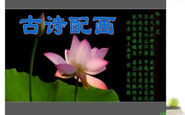 英语诗读后感7篇