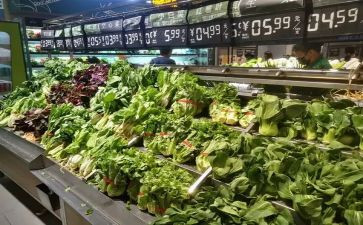 市场调查报告的模板最新8篇