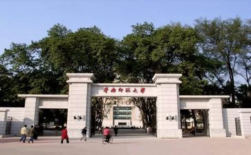 述职报告小学老师范文6篇