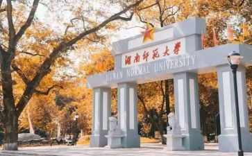 师范教育实习总结参考8篇