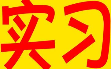 工作实习心得体会最新6篇