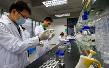 试验室年终工作总结7篇