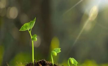 做孩子心理健康的守护人心得体会7篇