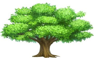2024年植树节活动方案推荐8篇
