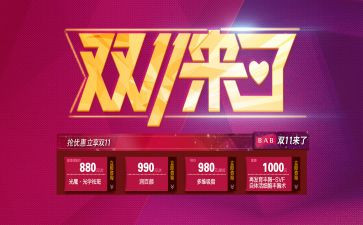 双11计划工作计划优质5篇