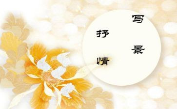 我的妈抒情作文5篇