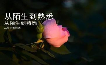 熟悉的人作文300字7篇
