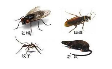 防四害工作计划5篇