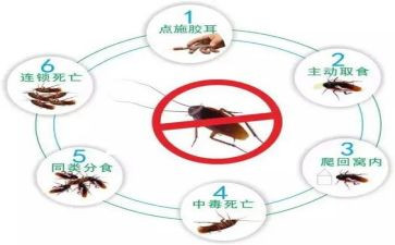 学校防四害工作计划8篇