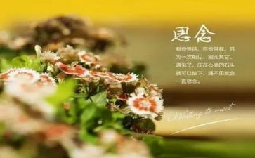 思念的作文300优质7篇