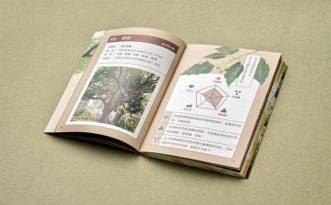 读四史的心得体会1000字7篇