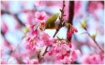 四月份的演讲稿6篇