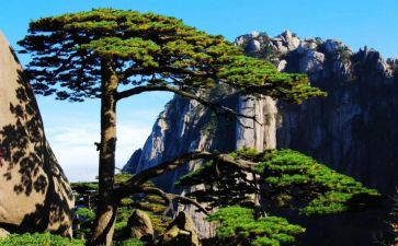 《狼》蒲松龄读后感5篇