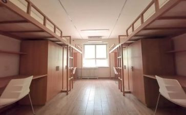 学校管理宿舍工作总结6篇