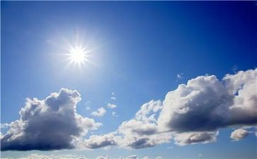 太阳花女孩读后感8篇