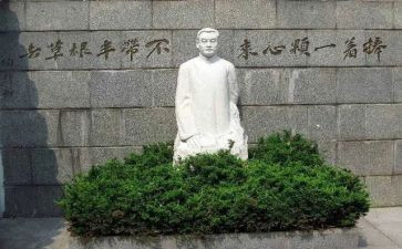 陶行知传的心得体会8篇