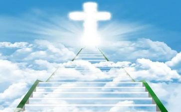 鸟的天堂的教案设计优秀教案8篇