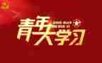 团青年活动总结通用7篇