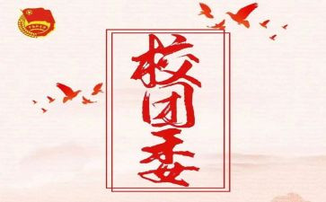 街团委工作总结6篇