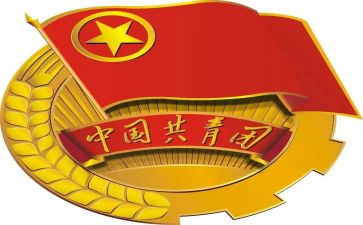 党团组织心得体会5篇