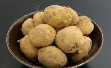 议土豆作文通用8篇