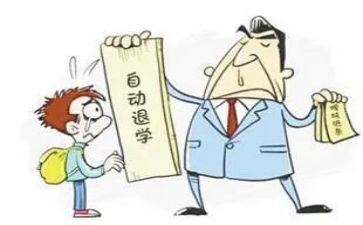 申请退学申请书推荐5篇