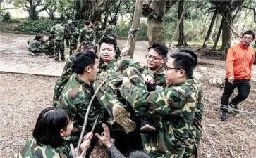 拓展背摔心得体会7篇