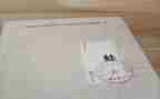 蛙的读后感800字最新7篇