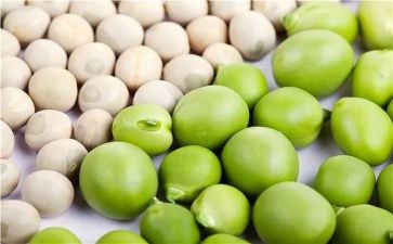 豌豆读后感最新8篇