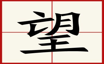 愿望实现的读后感读后感5篇