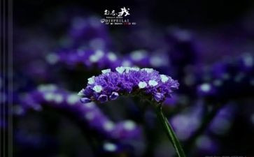 忘我的人读后感参考5篇