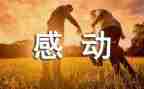 让我感动的2023作文优秀7篇