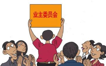 大委会工作总结通用7篇