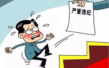 学习典型违法违纪心得体会7篇