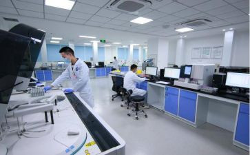 环境与卫生调查报告5篇