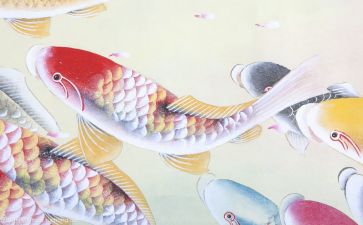 川商文化心得体会通用5篇