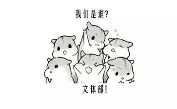 工会开展文体活动方案8篇
